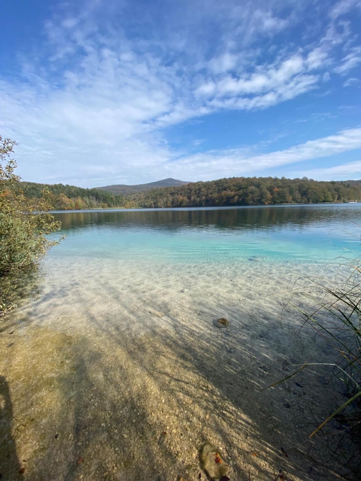 B&B Plitvice Area Natura Selište Drežničko Exterior foto